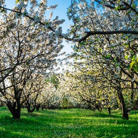 Monferrato Inn Rivarone Εξωτερικό φωτογραφία