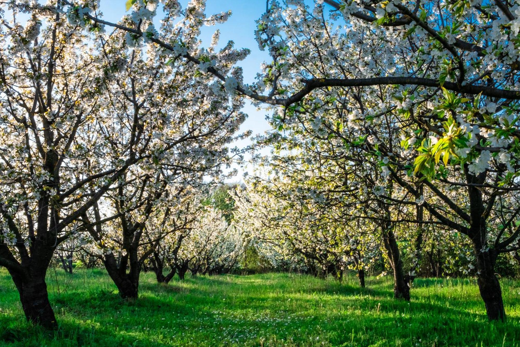 Monferrato Inn Rivarone Εξωτερικό φωτογραφία